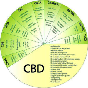 CBD Charts with Medicinal Values